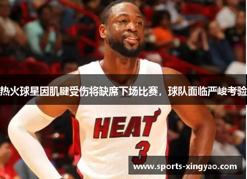 热火球星因肌腱受伤将缺席下场比赛，球队面临严峻考验